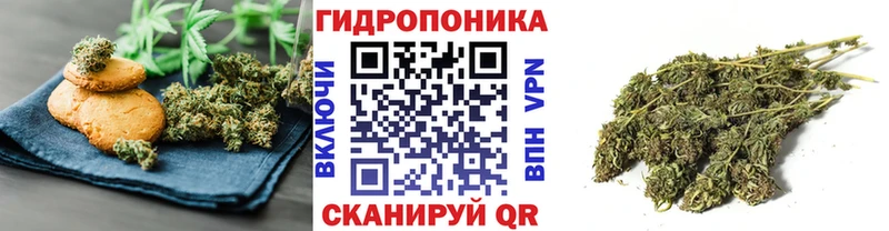 купить наркотик  Нижний Ломов  Еда ТГК конопля 