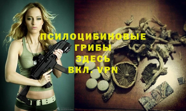 МДМА Алексеевка